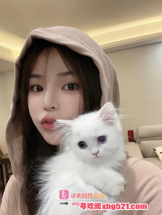 dbeafed6-7727-4d44-960f-7e77bbef7f55.jpg