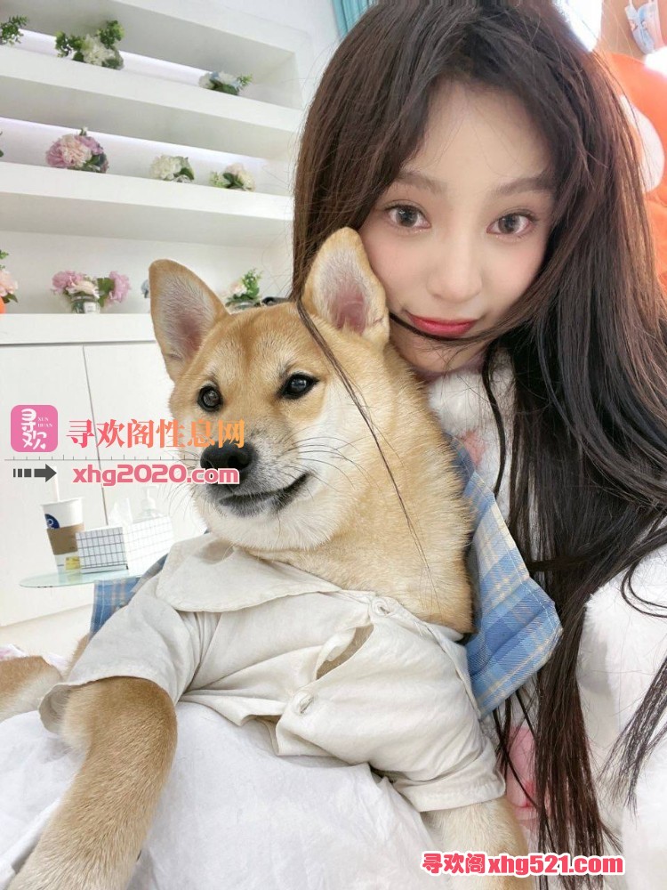 143629dmzototv82v7o272.jpg