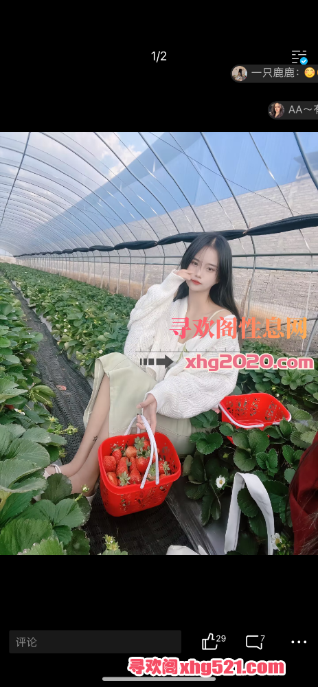 214841cs84hyzss4akga4s.png