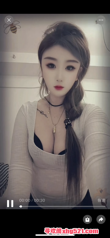 230611o06v88tpz1gg1bq4.png