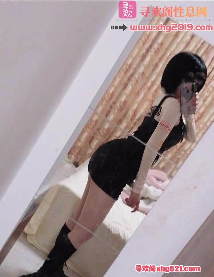 000115dreyhyl3qxrp1122.jpg