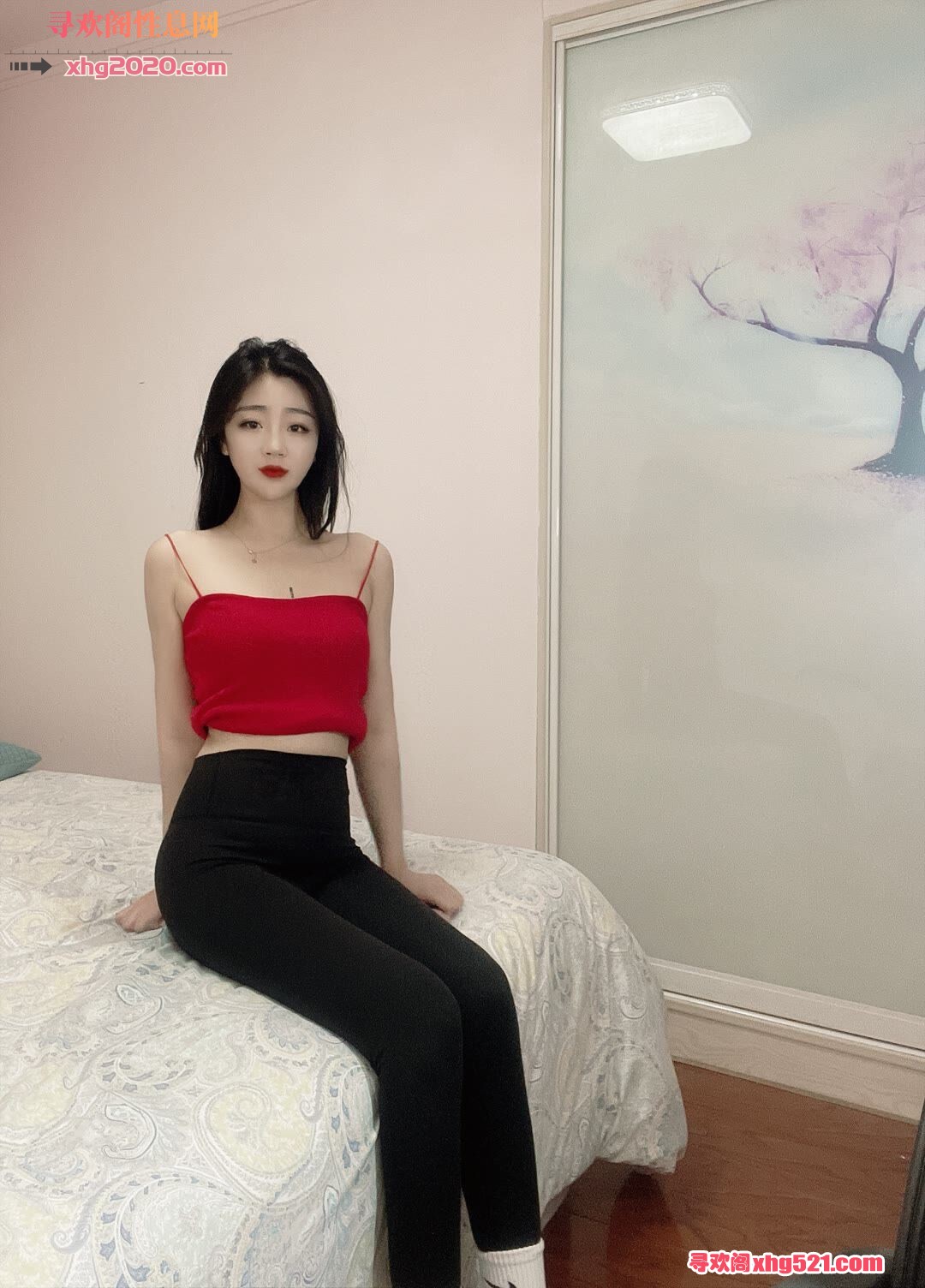 021323anixytvjomloyggy.jpg