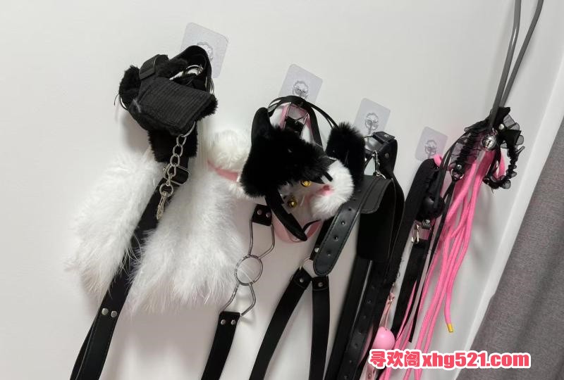 095036f0-9be9-4b6e-a3e9-1efbf62189c5.jpg