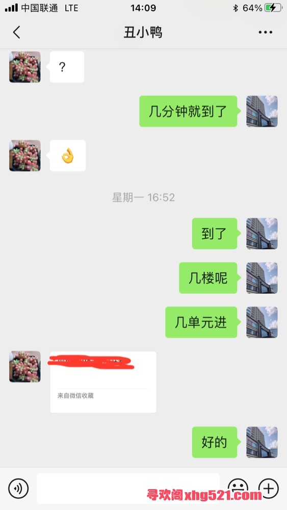 141518b32dz3dp3pp2z2ee.jpeg