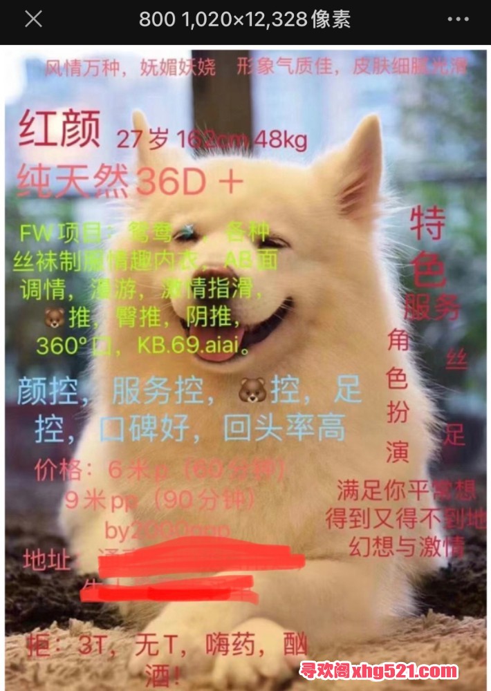 081946rzvj0sgz1s3fa8s1.jpeg