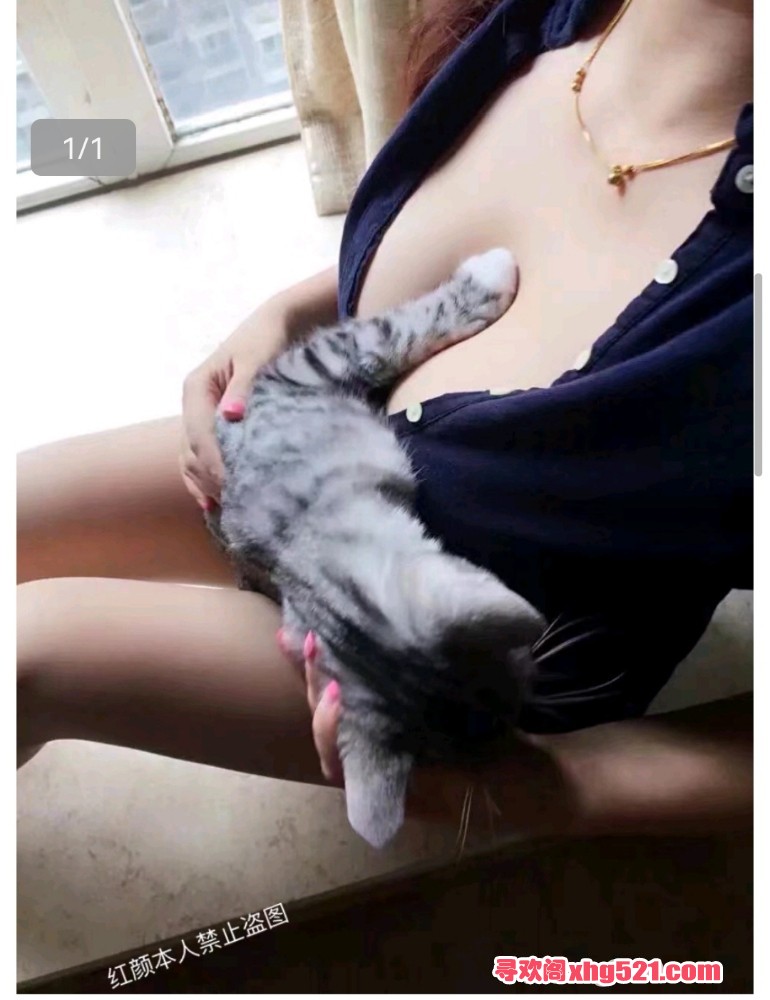 090437ykiifkaajkewkaqk.jpg