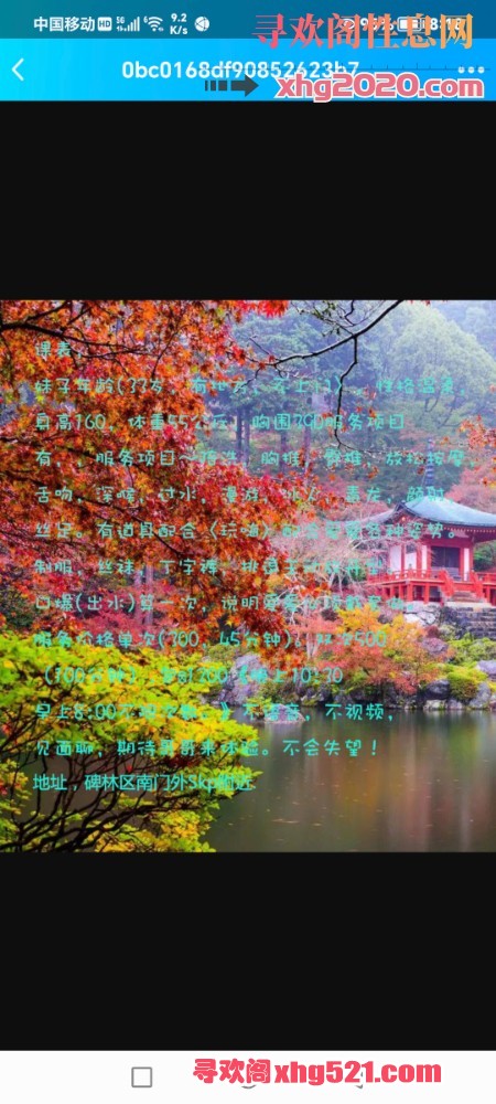 081834hjzcqkpirq5qki22.jpg