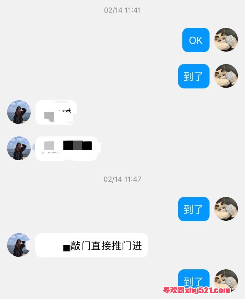230614dnj68j8bfpriirzn.jpeg