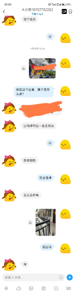 234335bz62xzlymxb6jcor.jpeg