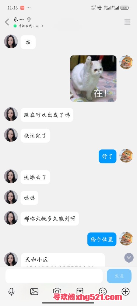 114306ogggmg8jsg77gtwc.jpg